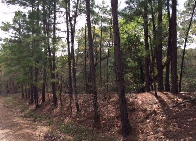 Property at 152 Molokini Dr, Bastrop, TX 78602
