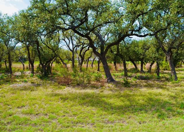 Property at 122 Carousel Ln, Driftwood, TX 78619