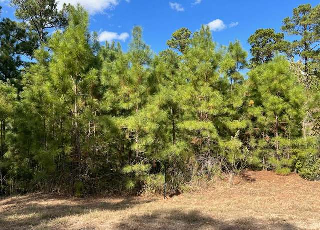 Property at Lot 986 Kailua L Ln, Bastrop, TX 78602