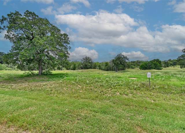 Property at 159 Starlight Path, Red Rock, TX 78662