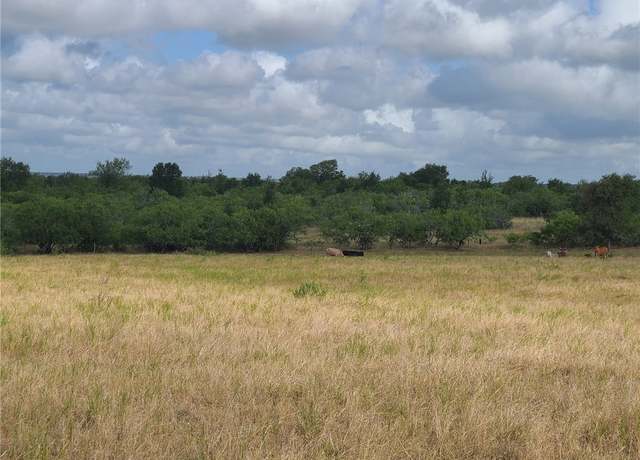Property at TBD 89 Acres County Rd 446, Waelder, TX 78959