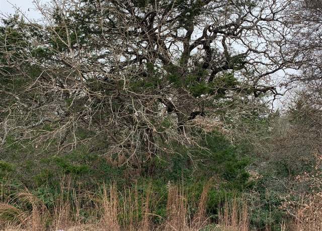 Property at Tbd Peace Pipe, Smithville, TX 78957