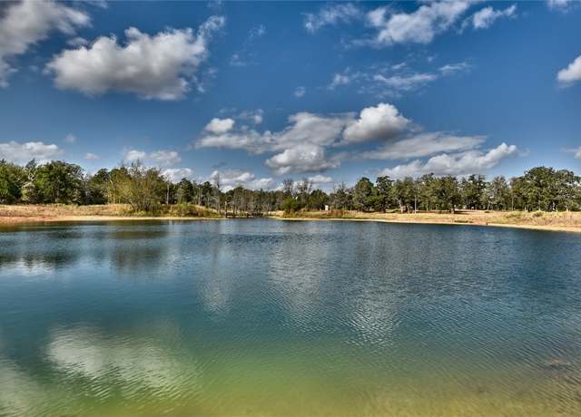 Property at TBD Private Road 1063, Paige, TX 78659