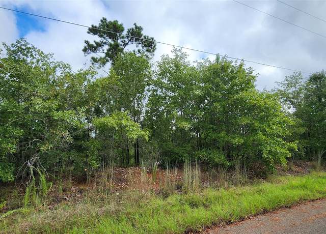 Property at TBD Homonu (lot 105) Ct, Bastrop, TX 78602