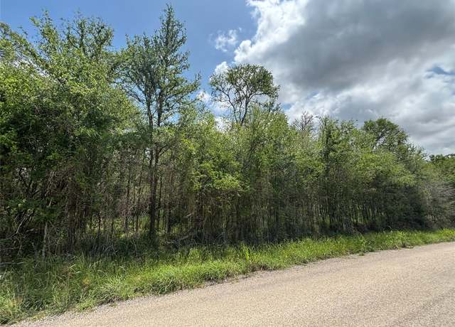 Property at 191 Heleakala Dr, Bastrop, TX 78602