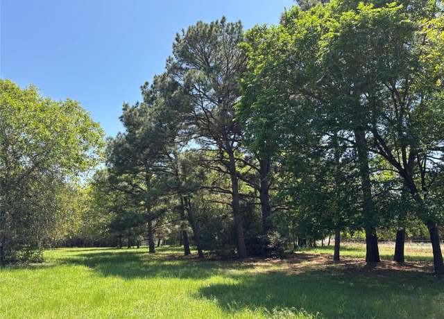 Property at Lot 251 Pine Valley Loop, Smithville, TX 78957