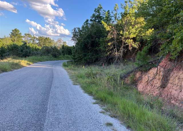 Property at Lot 859 Mamalu Dr, Bastrop, TX 78602
