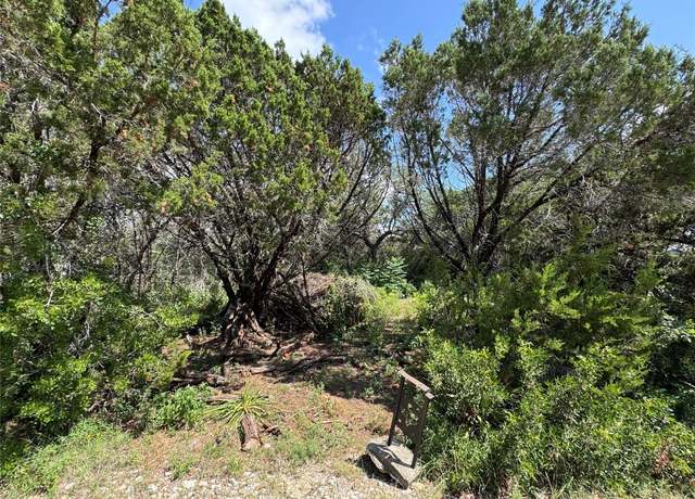 Property at 18304 Lake Oaks Dr, Jonestown, TX 78645