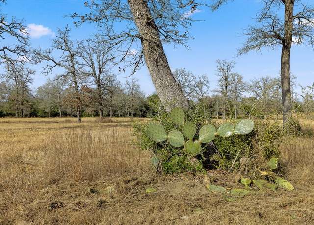 Property at 3610 Schulle Rd, Round Top, TX 78954