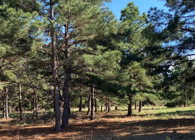 Property at 147 Oak Leaf Dr, Bastrop, TX 78602