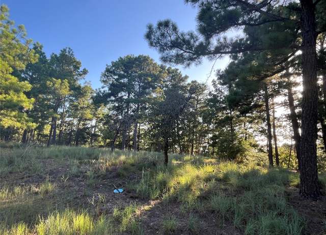 Property at 0000 Koolua Dr, Bastrop, TX 78602