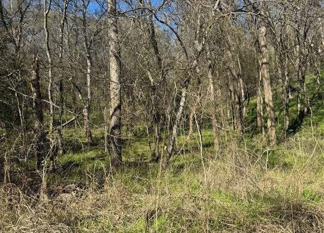 Property at Lots 638. 639. 640 Kaukonahua Ln, Bastrop, TX 78602