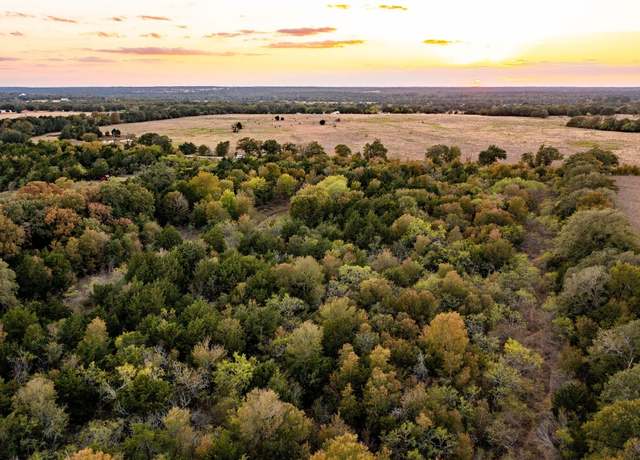 Property at 000 TBD 17+/- Ac Grassyville Rd, Paige, TX 78659
