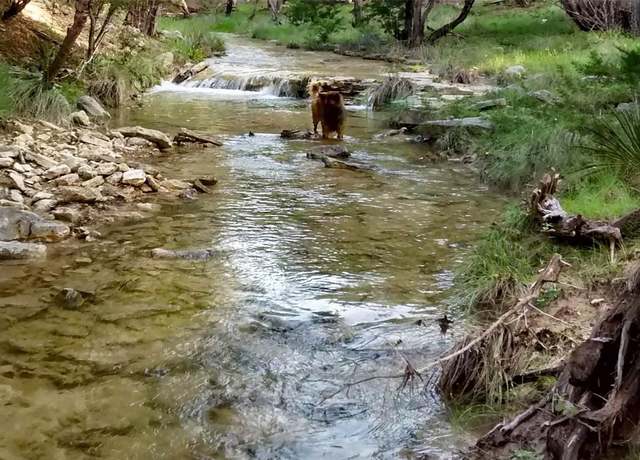 Property at 2822 Stagecoach Ranch Rd, Dripping Springs, TX 78620, 1 bed, 1 bath