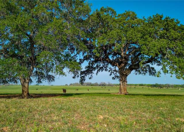 Property at TBD County Road 404, Floresville, TX 78114