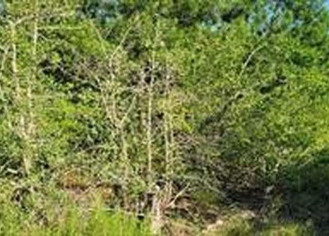 Property at 000 Hereford Ln, Bastrop, TX 78602