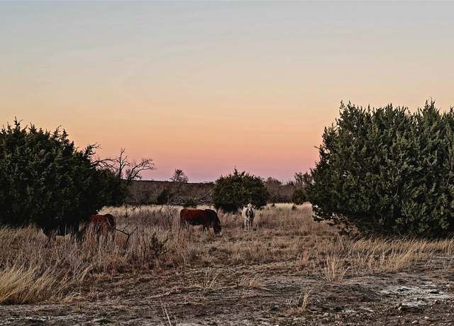 Property at LOT187&LOT188 TBD Cherry Laurel Ln, Lampasas, TX 76550