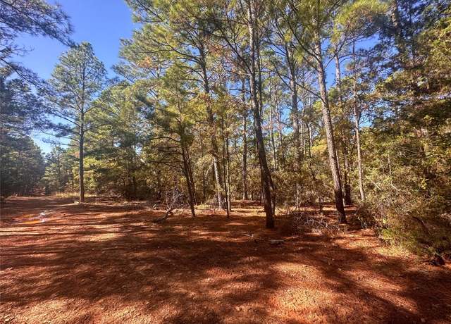 Property at 000 Pine Hollow Dr, Bastrop, TX 78602