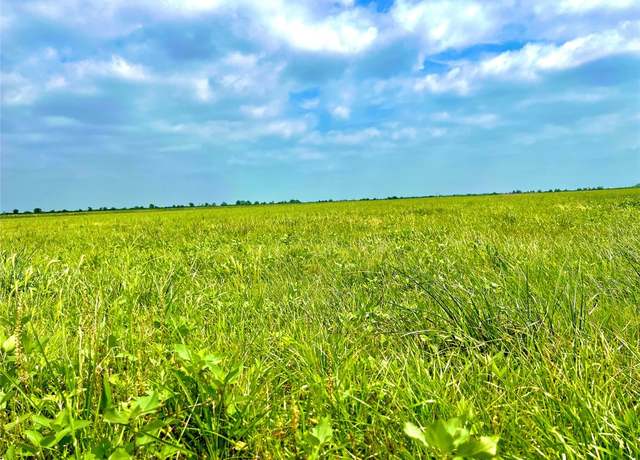 Property at TBD Tract 13 County Road 210, Eagle Lake, TX 77434