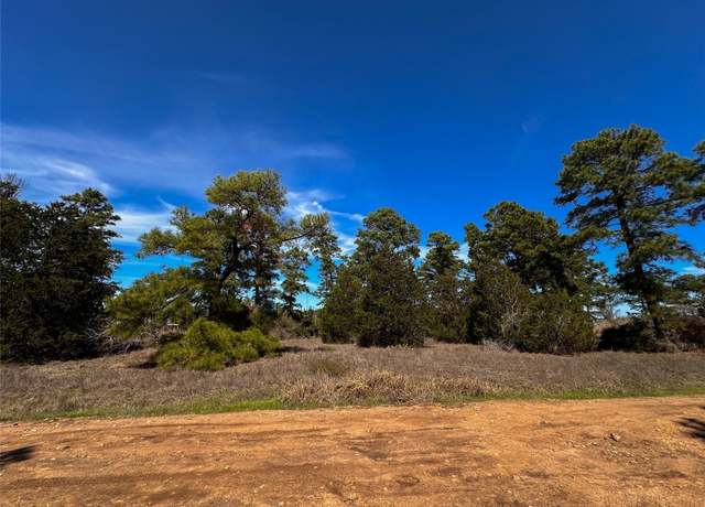 Property at Lot 3 Winding Pine Dr, Bastrop, TX 78602