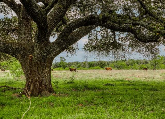 Property at TBD (62.58 Acres) County Road 125, Ledbetter, TX 78946