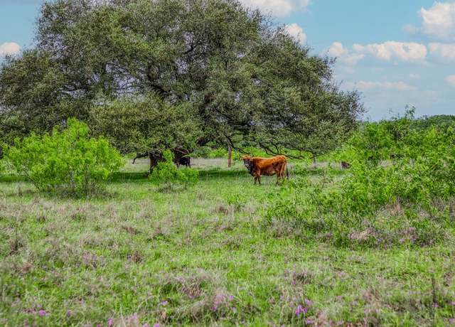 Property at TBD (62.58 Acres) County Road 125, Ledbetter, TX 78946