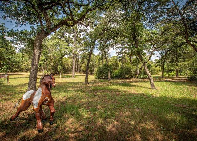 Property at 914 Sand Hills Rd, Red Rock, TX 78662, 3 beds, 1 bath