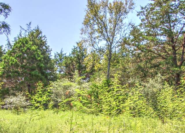 Property at 0 Hellinger Rd, Flatonia, TX 78941