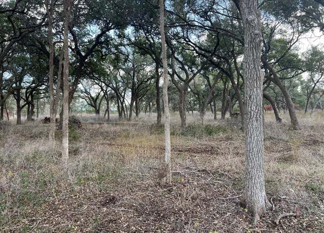 Property at 2081 State Highway 138 Hwy, Florence, TX 76527