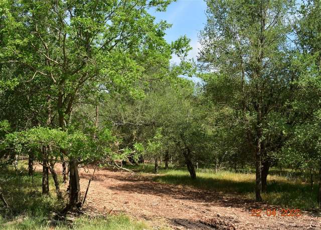 Property at 240 Caney Creek Rd, New Braunfels, TX 78130
