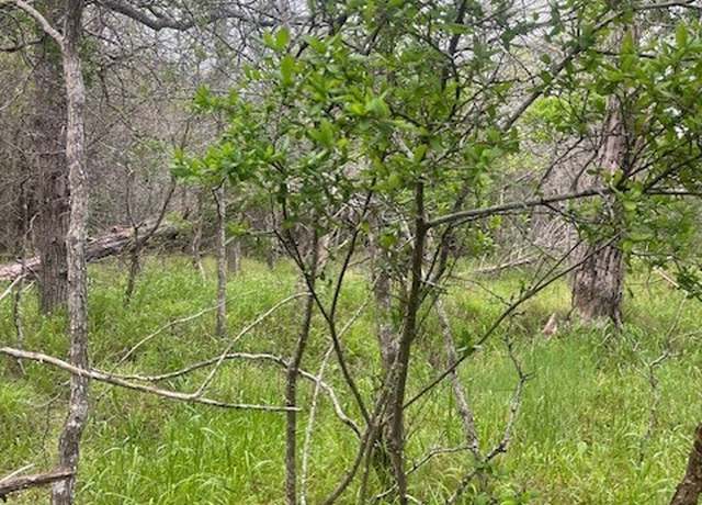 Property at Lot 628 Hilea Ct, Bastrop, TX 78602