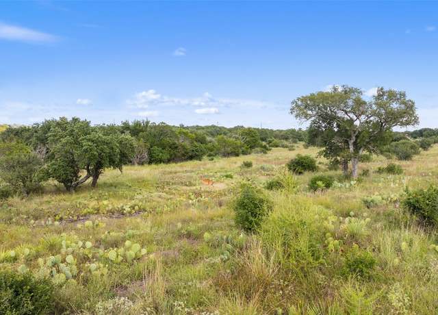 Property at TBD W Rr 962, Round Mountain, TX 78663