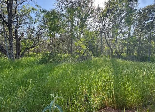 Property at 203 Mokulua Ln, Bastrop, TX 78602