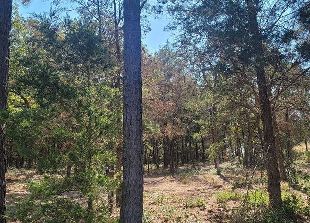 Property at lot 1 Marlin Ln. County Rd 142 Rd, Mcdade, TX 78650