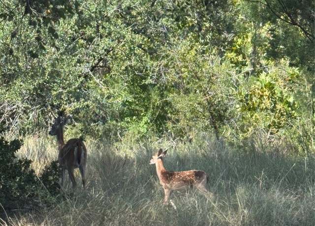 Property at 0000 Hi Stirrup/moon, Horseshoe Bay, TX 78657