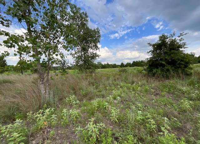 Property at TBD County Rd., Lot 20-c Rd, Bastrop, TX 78602