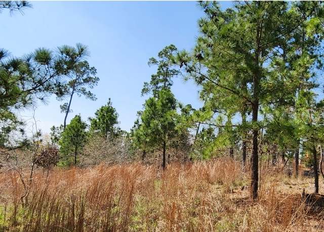 Property at TBD Oahu Ct, Bastrop, TX 78602