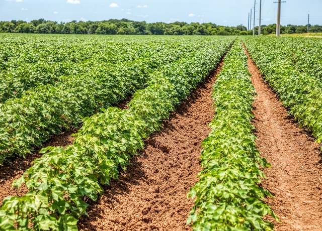 Property at TBD County Road 277, Snook, TX 77878