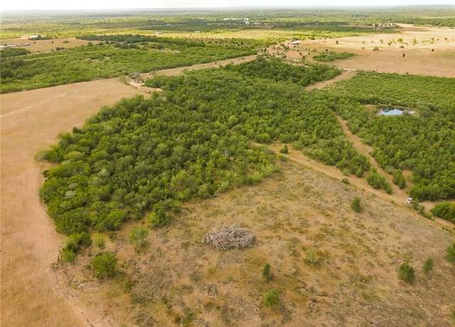 Property at TBD 43 Acres East County Rd 446, Waelder, TX 78959