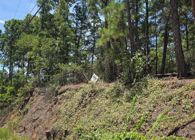 Property at LOT 136 Akaloa Dr, Bastrop, TX 78602