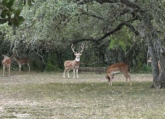 Property at 305 Cr 305, Beeville, TX 78102