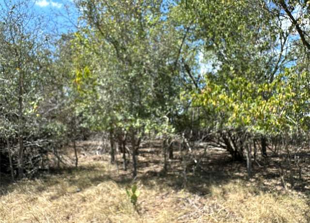 Property at 1387 Lovers Ln, Bastrop, TX 78602