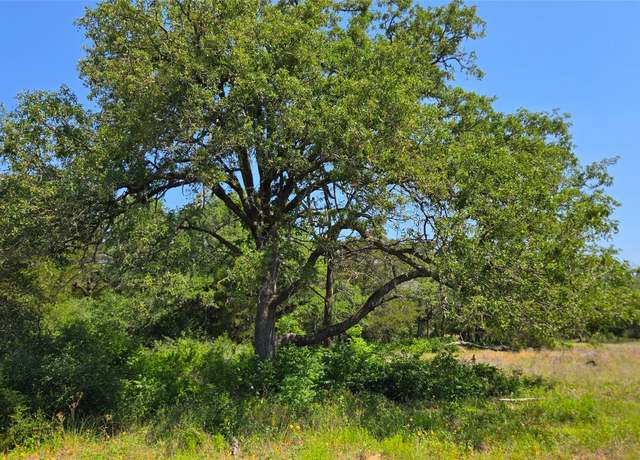 Property at 277 Meuth Cemetery Rd, Red Rock, TX 78662