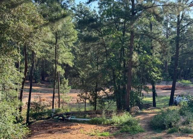 Property at 125 Pine Cone Dr, Bastrop, TX 78602