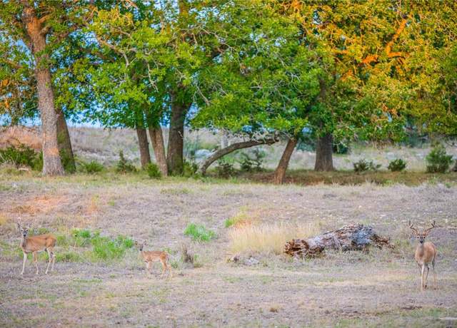 Property at 100acres Highway 83 Hwy Unit 100acres, Mountain Home, TX 78058