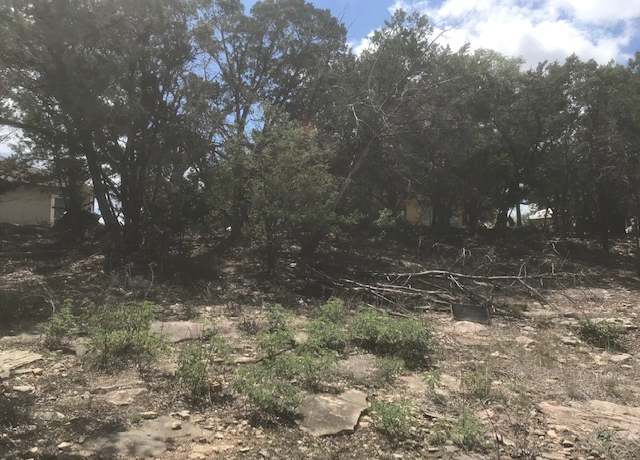 Property at 1176 Scenic Run Dr, Canyon Lake, TX 78133