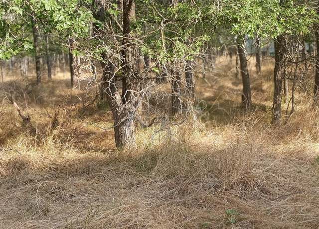 Property at 103 Waikakaaua Dr, Bastrop, TX 78602