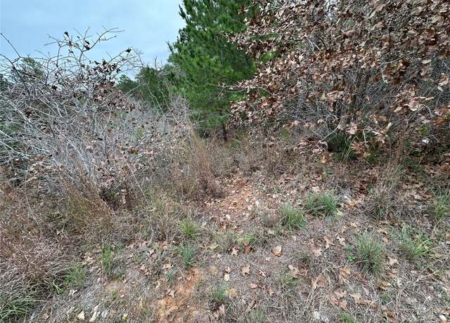 Property at TBD N Pahihi Dr, Bastrop, TX 78602