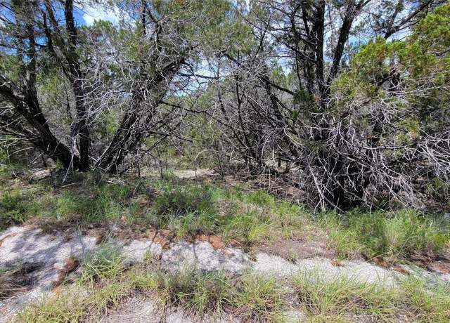 Property at 8199 Arroyo Ave, Lago Vista, TX 78645
