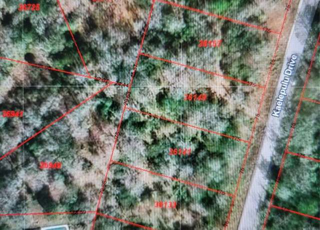Property at 36141 & 36149 Kaelepulu Dr, Bastrop, TX 78602